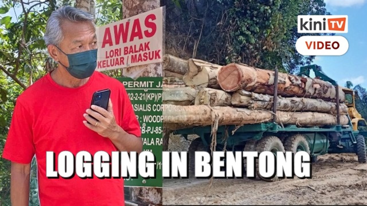 Permit, logging activities discovered in Bentong forest