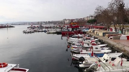 Hamsi tezgahların gözdesi oldu