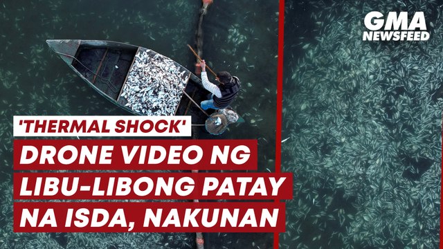 Libu-libong patay na isda, nakunan sa drone video | GMA News Feed