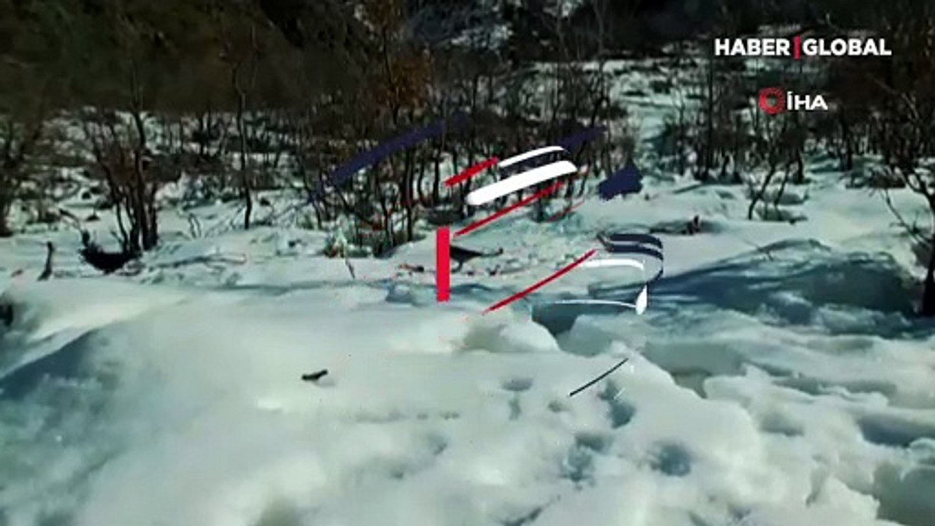 Şırnak’ta yaban hayatı fotokapanda