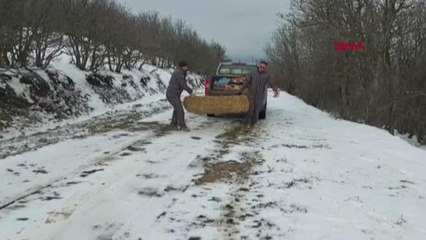 TEKİRDAĞ'DA YABAN HAYVANLARINA 2 TON YEM BIRAKILDI