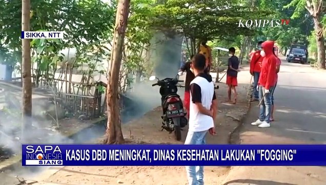 Kasus DBD di Sikka Mengalami Peningkatan, Fogging Jadi Upaya Dinkes Sikka untuk Cegah DBD