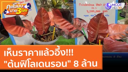 เห็นราคาแล้วอึ้ง "ต้นฟิโลเดนรอน" 8 ล้าน (28 ม.ค. 65) คุยโขมงบ่าย 3 โมง