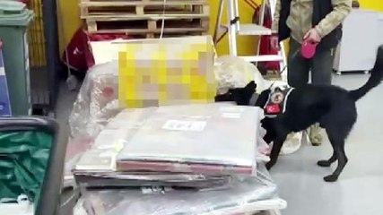 BEBEK YATAĞI VE YORGAN KILIFI KARGOSUNDAN 2 KİLO 400 GRAM EROİN ÇIKTI