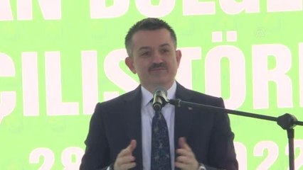 Pakdemirli: "Mevcut küresel ısınmadan ormanlarımızın daha az etkilenmesi için çalışmalarımızı aralıksız devam ettiriyoruz"