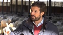 Casado agita las redes con un bulo sobre un presunto 