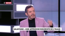 Razzy Hammadi : «On ne combat pas la ligne de crête par des amendements mais par de l'action et sur ça notre nation, les pouvoirs publics, les politiques sont d'une naïveté confondante»