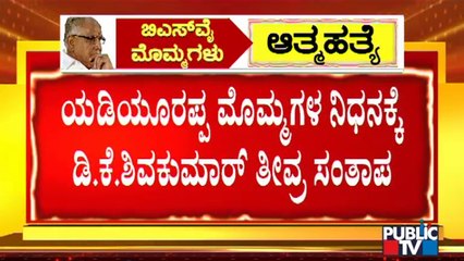 ಸೌಂದರ್ಯ ಸಾವಿಗೆ ಕೆಪಿಸಿಸಿ ಅಧ್ಯಕ್ಷ ಡಿ.ಕೆ. ಶಿವಕುಮಾರ್ ಸಂತಾಪ | DK Shivakumar