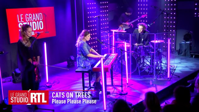 Cats On Trees interprète Please Please Please dans Le Grand Studio RTL