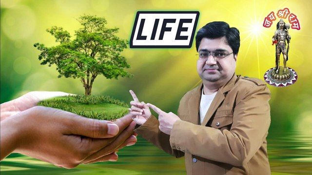 What is the effect of cutting trees? | Why cutting trees is bad for the environment?