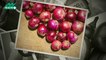 Surprising health benefits of eating raw onion during winter season