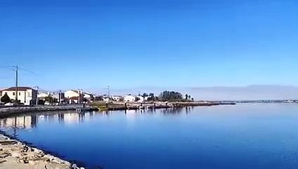 Fogo em Vale de Cambra mobiliza mais de 110 bombeiros e dois helicópteros