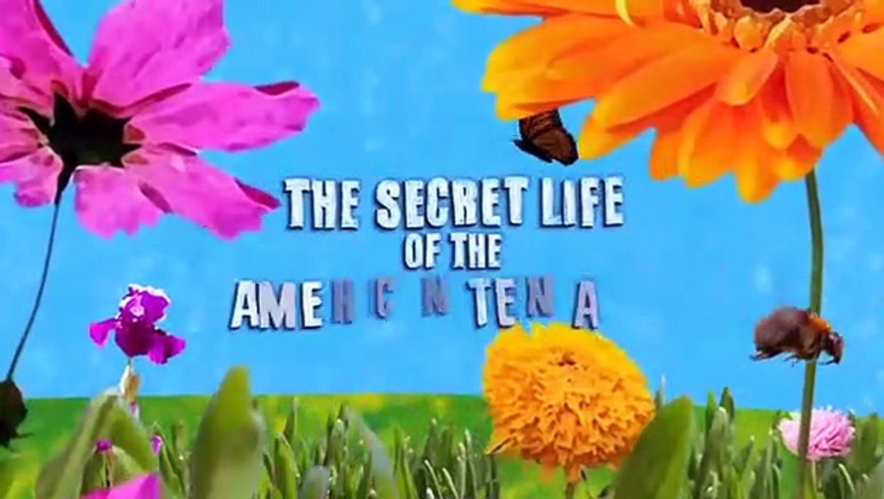 The Secret Life Of The American Teenager S03E05 Which Way Did She Go