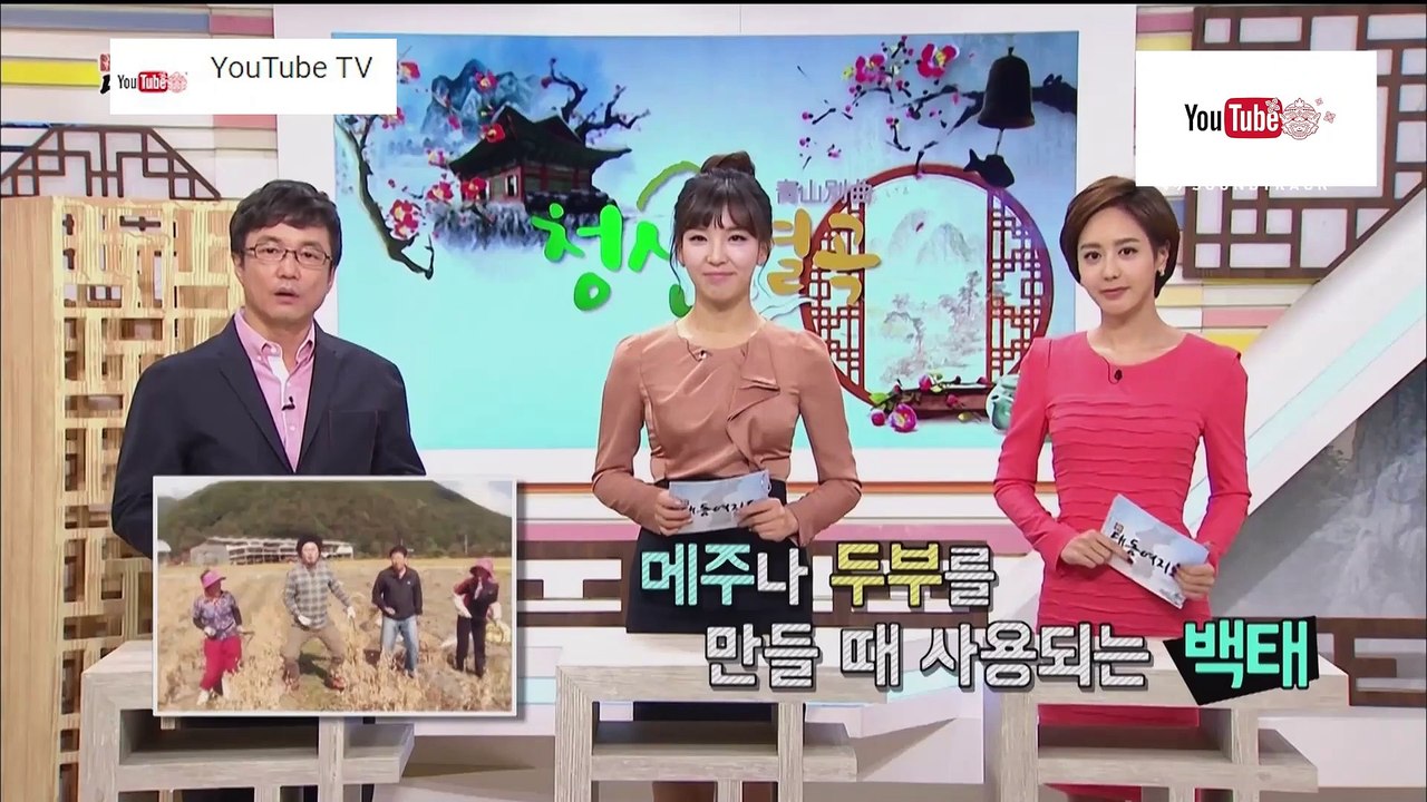 ท่องโลก ชุด Wonderful World ตอน ถั่วเน่าและเครื่องเรือนไม้