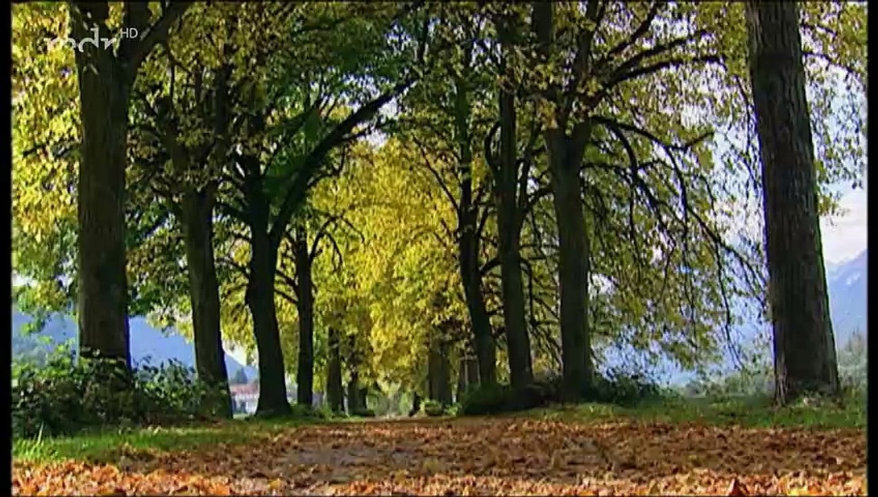 Sturm der Liebe Folge 506