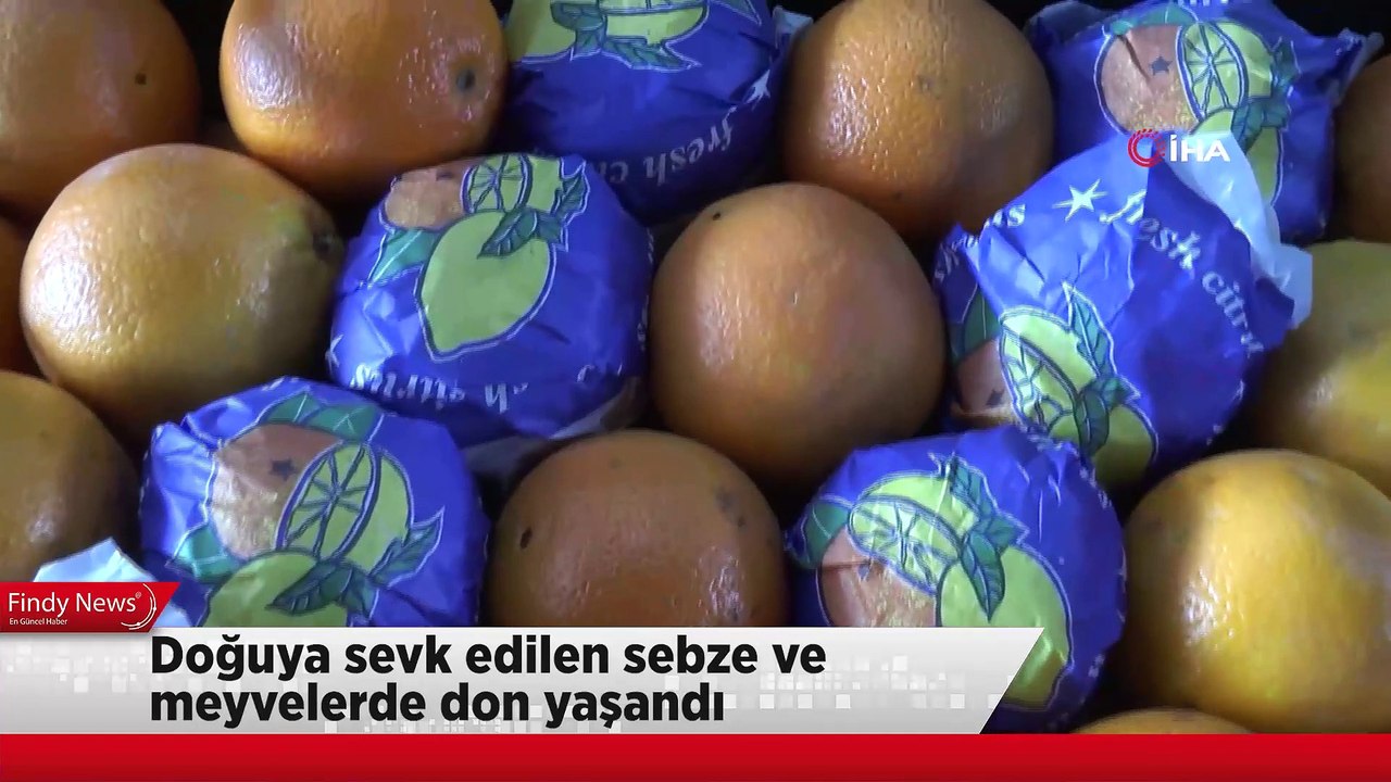 Doğuya sevk edilen sebze ve meyvelerde don yaşandı