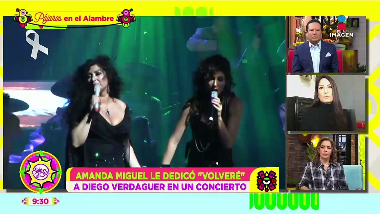 Así nació el amor entre Diego Verdaguer y Amanda Miguel