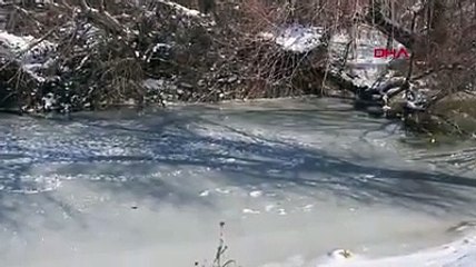 Üzüm bağına düşen pelikan donmak üzereyken kurtarıldı