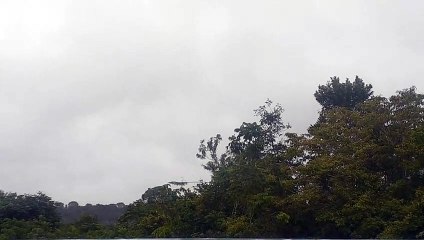 Airbus A330 PR-AIV vindo de Campinas para Manaus