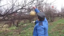 Diyarbakırlı engelli gençten örnek davranış: Yazın yetiştirdiği su kabaklarını kış mevsiminde kuşlar için yuva yaptı