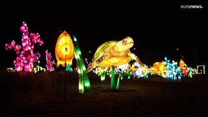Un despliegue de figuras colores brillan en la noche para recibir el año del tigre