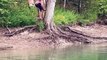 Rope Swing Fail Ends in Painful Fall