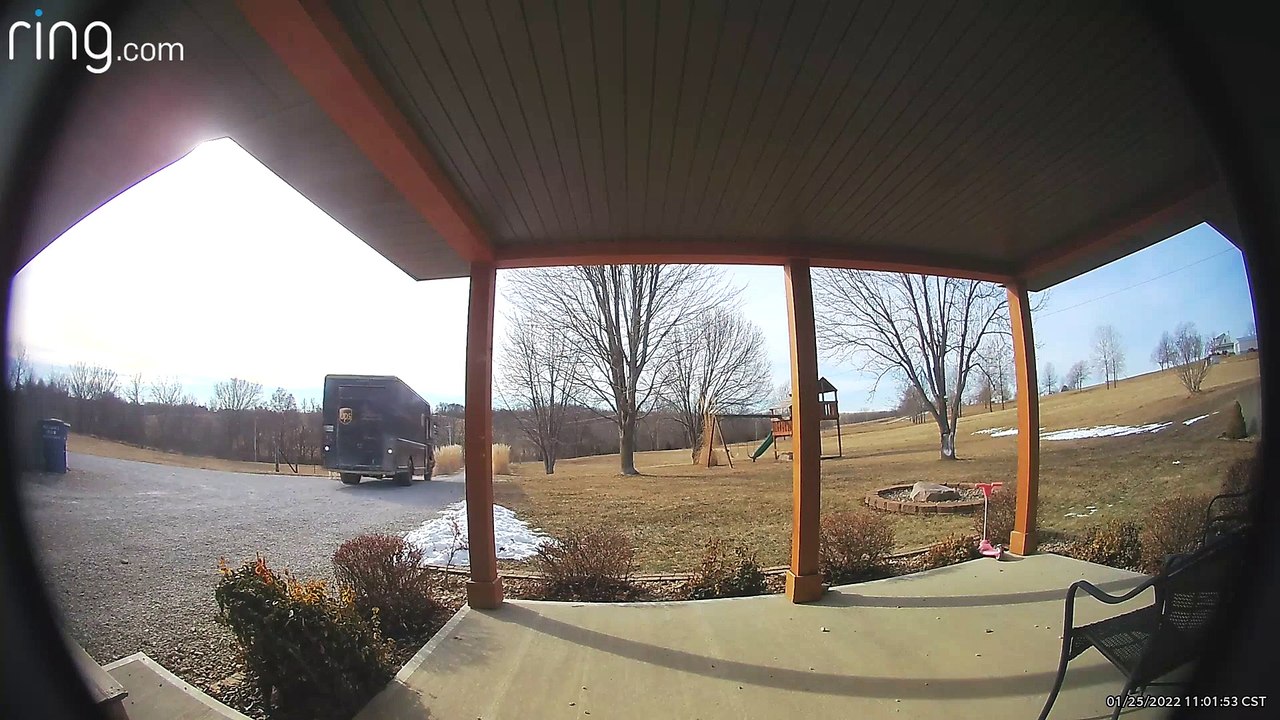 Dog Pees on Package Delivery