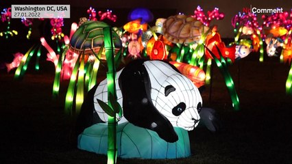 Un centenar de farolillos para celebrar el año del tigre en Washington