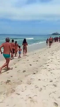 Tubarão é visto próximo à faixa de areia em Saquarema (RJ)