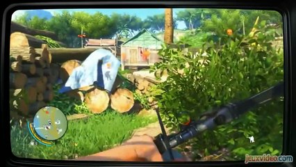 Le fond de l'affaire Saison 1 - La série Far Cry (EN)
