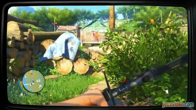 Le fond de l'affaire Saison 1 - La série Far Cry (EN)