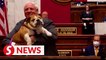 US governor tells critics to kiss his dog's "hiney"