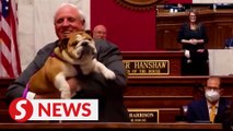 US governor tells critics to kiss his dog's 