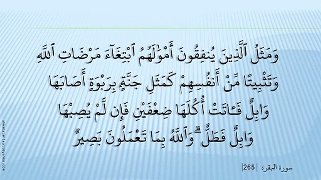 002       - Al-Baqara      0      - Saad Al-Ghamdi 002       - Al-Baqara    0         - Saad Al-Ghamdi 281 Ta 209 Ayat