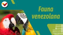 Punto Verde | Preservación de animales en peligro de extinción en Venezuela