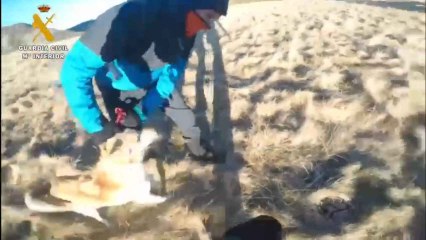 Rescate de un montañero y su perro en León