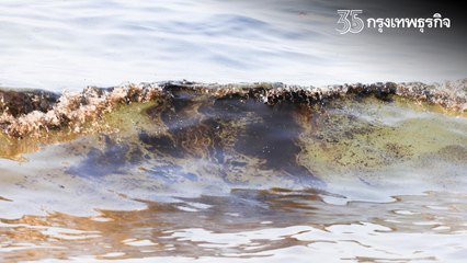 เกาะติด "น้ำมันรั่ว" จับตาน้ำมันดิบล็อตใหญ่ตามขึ้นฝั่งมาอีก