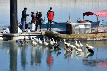 Son dakika haber | EĞİRDİR GÖLÜ'NDE BUZ TABAKASINDAKİ ÖRDEKLER HAVADAN GÖRÜNTÜLENDİ
