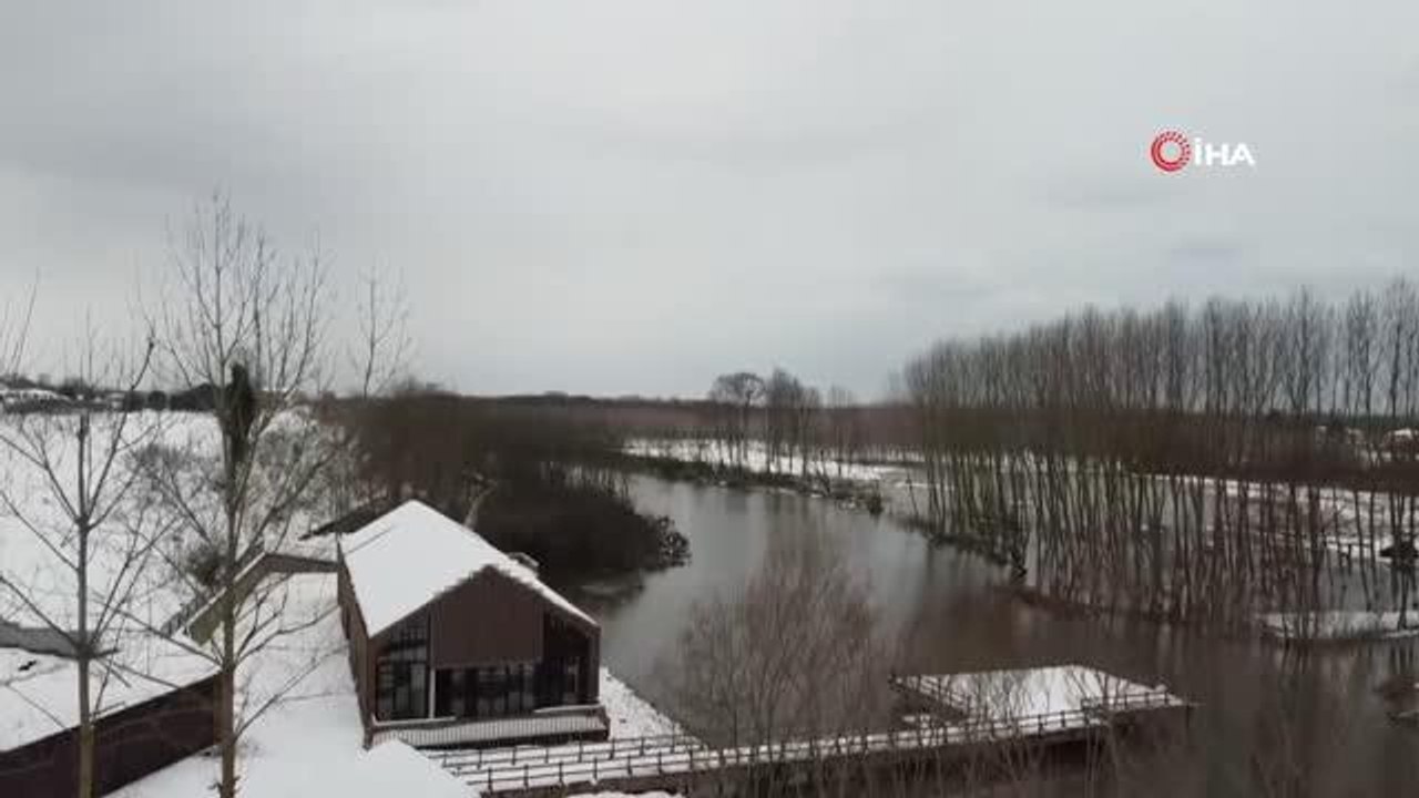 Beyaza bürünen saklı cennet "Acarlar Longozu" güzelliğiyle kendine hayran bırakıyor