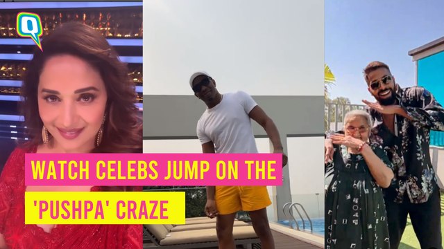 Watch Madhuri Dixit, Hardik Pandya, David Warner and Others Groove On The 'Pushpa' Songs