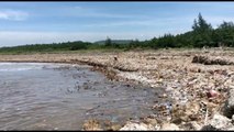 Pantai Pancer di Jember Tertutup Ribuan Ton Sampah