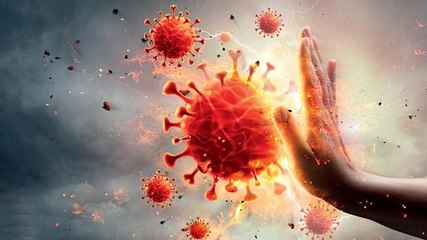 Watch: NeoCov's potential danger to humans needs further study, says WHO