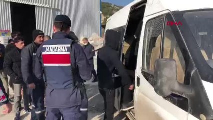 İZMİR'DE DÜZENSİZ GÖÇLE MÜCADELE DENETİMİNDE 263 BİN LİRA CEZA KESİLDİ