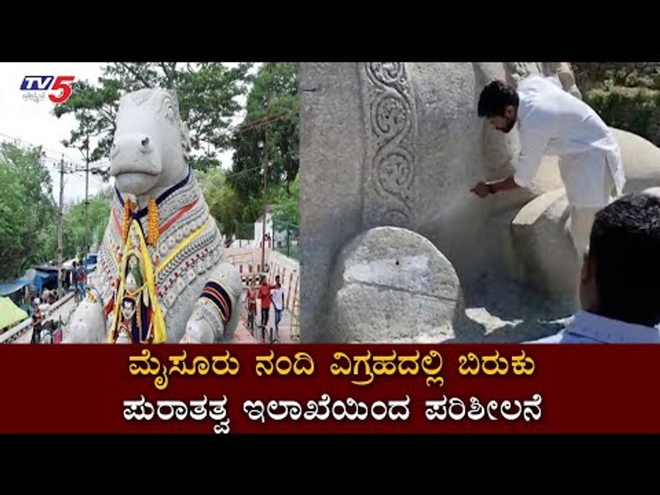 ಚಾಮುಂಡಿ ಬೆಟ್ಟದ ನಂದಿ ವಿಗ್ರಹದಲ್ಲಿ ಬಿರುಕು ಹಿನ್ನೆಲೆ ಪುರಾತತ್ವ ಇಲಾಖೆಯಿಂದ ಪರಿಶೀಲನೆ |Mysore| TV5 Kannada