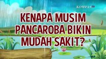 Kenapa Tubuh Gampang Sakit saat Musim Pancaroba? Ini Alasannya