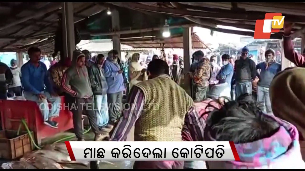 A fish sold for Rs 2 crore