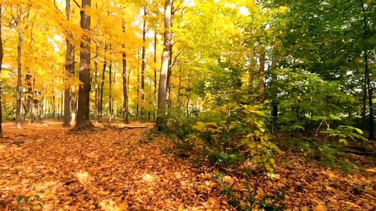 Nature & relaxing music, nature beauty, Meditation,relaxing music, relaxing music sleep,yoga nature