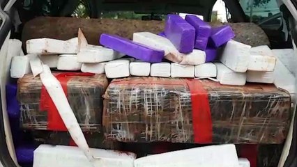 Carro carregado com drogas é apreendido pela Polícia Ambiental