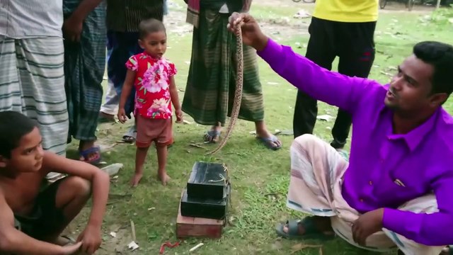 Wow!! Snake Playing by Professional Snake Charmer