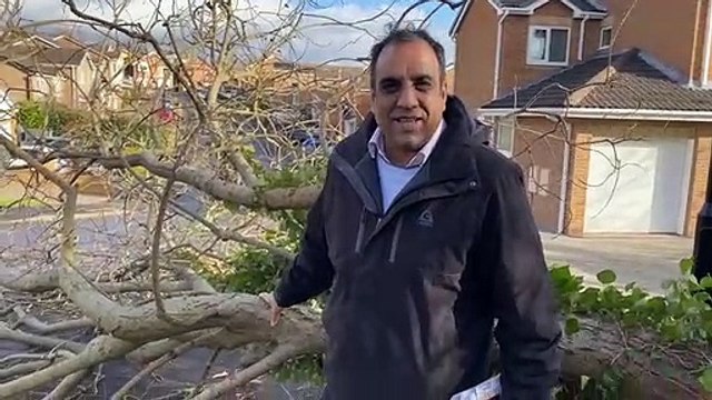 Falling tree narrowly misses car as Storm Malik batters Sheffield